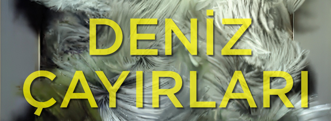 'Deniz Çayırları' Sergisi 11 Aralık'ta Ziyarete Açılacak