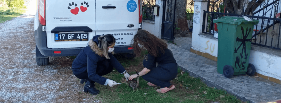 Can Dostlarımız Güzelyalı'da Sağlık Kontrolünden Geçirildi