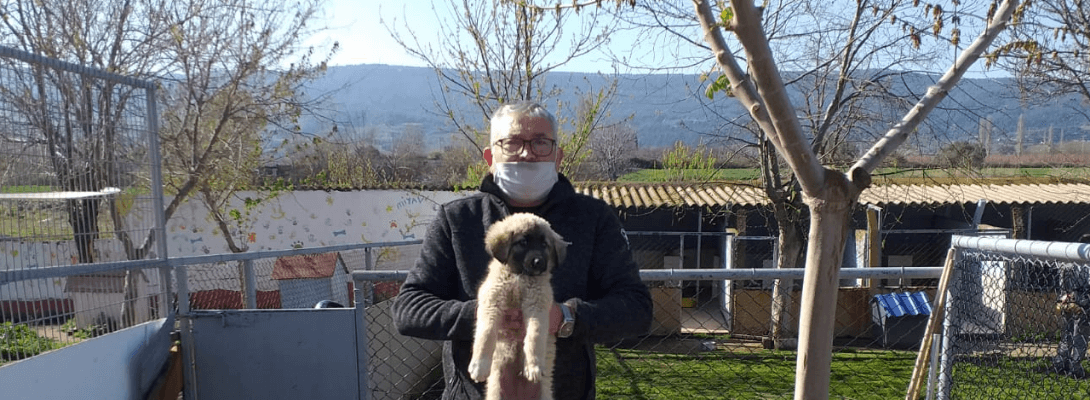 Can Dostlarımız İçin Çalışıyoruz...