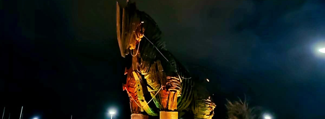 25 Kasım için Turuncu Işık…