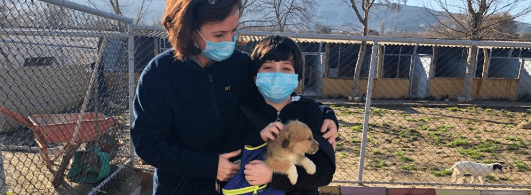 Can Dostlarımız İçin Çalışmaya Devam…