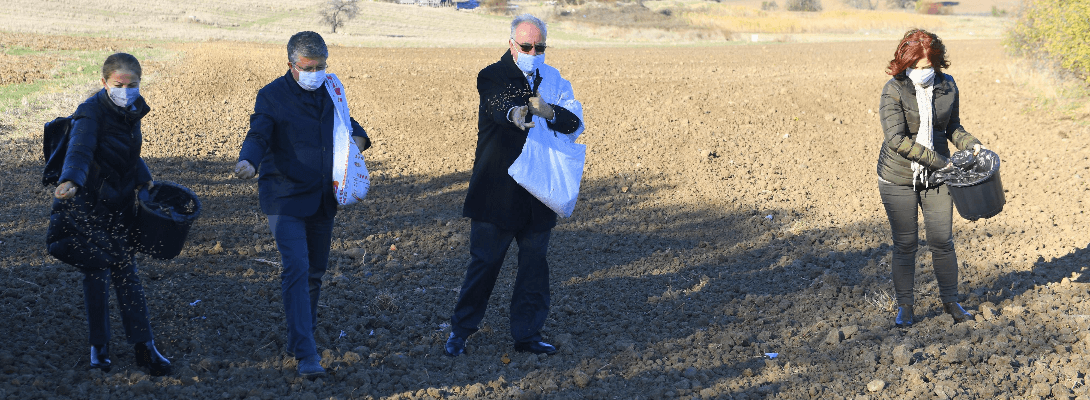 Atalık Mirasımız Karakılçık, Yeni Sezonda da Toprakla Buluşturuldu
