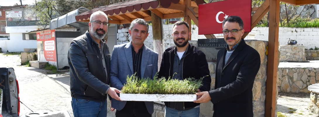 Sarıcaeli Köyü'ne Lavanta Desteği