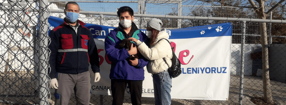 Sokaktaki Can Dostlarımız İçin Çalışmaya Devam…