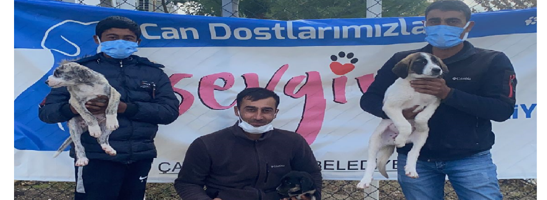 Can Dostlarımız İçin Çalışmalar Aralıksız Sürüyor