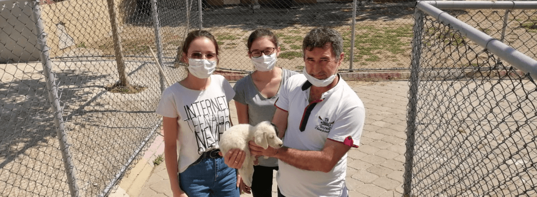 Can Dostlara Yönelik Çalışmalar Hız Kesmeden Devam Ediyor