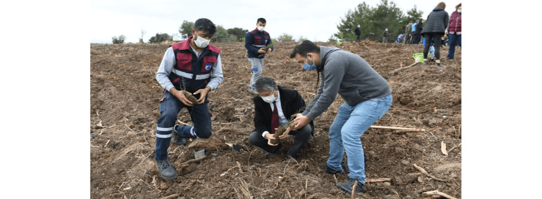 “Geleceğe Nefes” Projesi Kapsamında Fidanlar Toprakla Buluştu