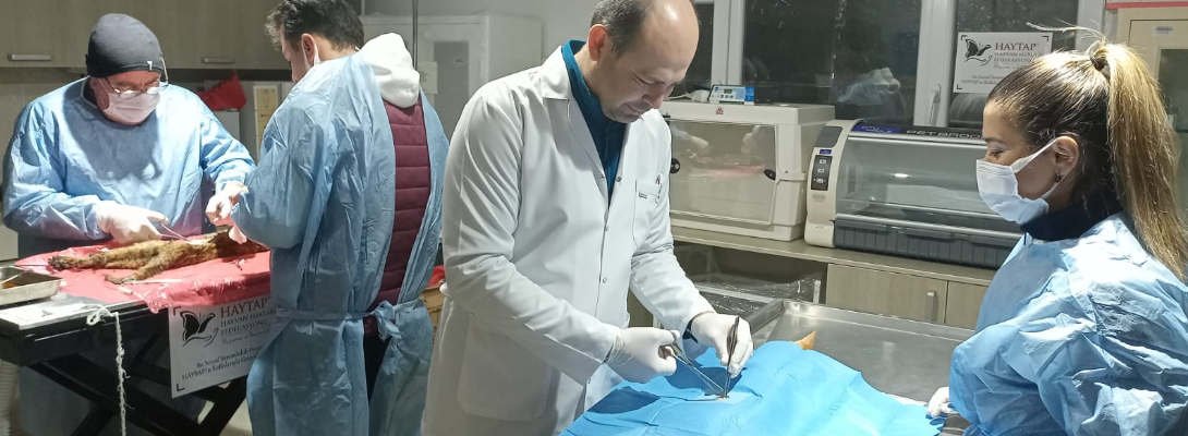 Can Dostlarımız İçin Çalışmalar Aralıksız Sürüyor