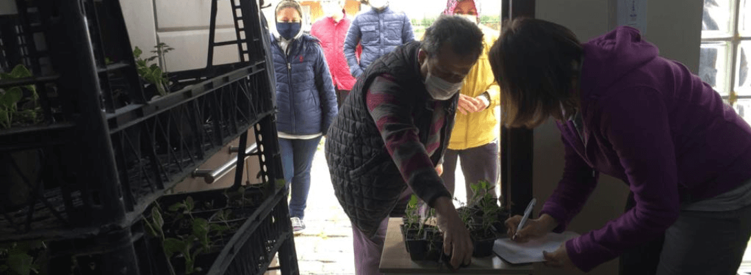 Yerel Tohumlardan Üretilen Fideler Kentliler İle Buluşmaya Devam Ediyor