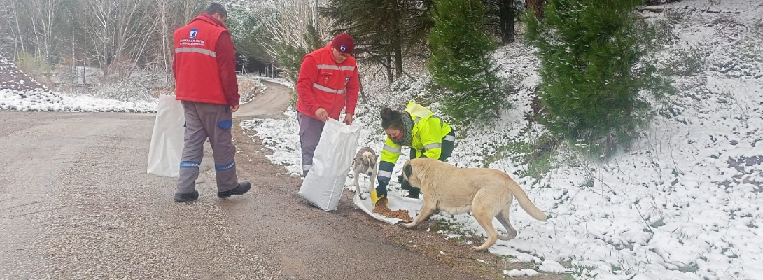Soğuk Havada Can Dostlara Mama Desteği…