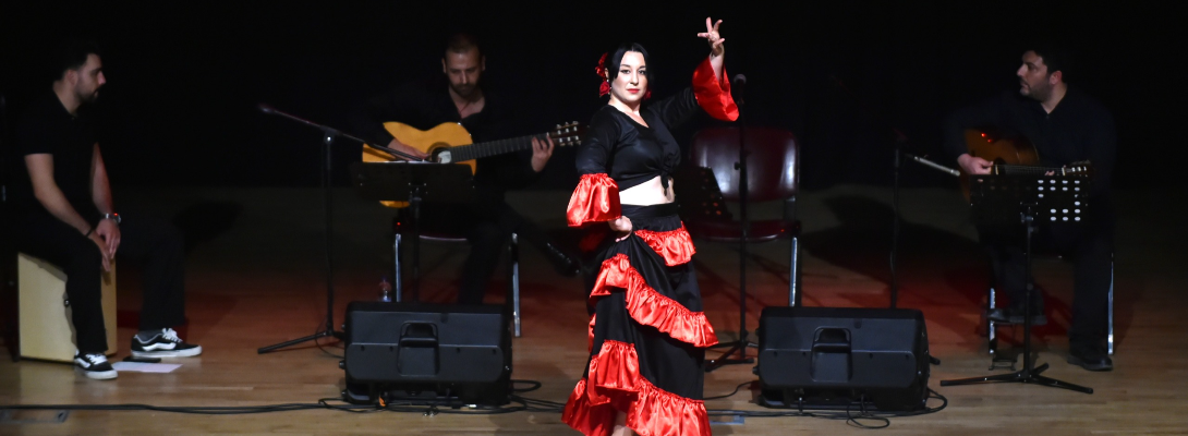 Puro Flamenco'dan Alkış Alan Gösteri