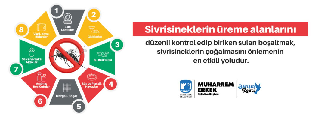 Sivrisinekle Mücadelede Alınması Gereken Önlemler…