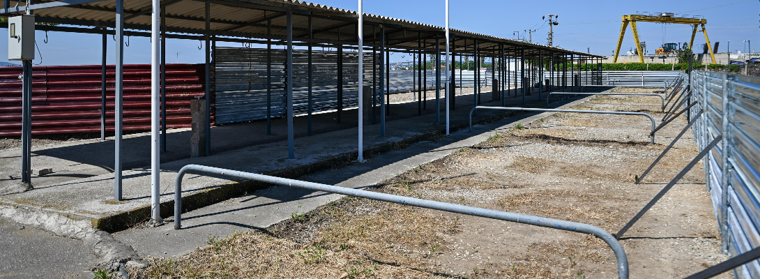Kurban Satış ve Kesim Alanında Çalışmalar Başladı