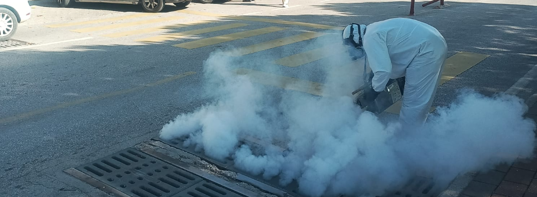 Sivrisinek ve Karasinek Mücadele Çalışmaları Sürüyor