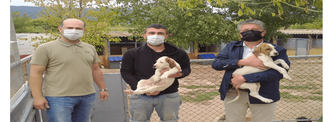 Can Dostlar İçin Çalışmalar Aralıksız Devam Ediyor