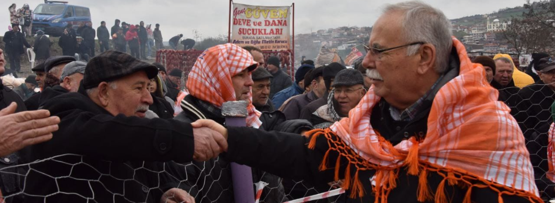 Başkan Gökhan Çan Deve Güreşlerine Katıldı