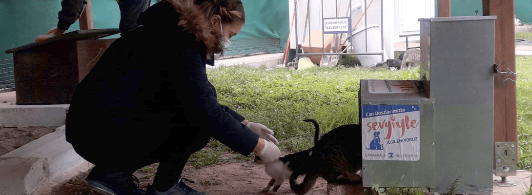 Can Dostlar Düzenli Sağlık Kontrollerinden Geçiyor