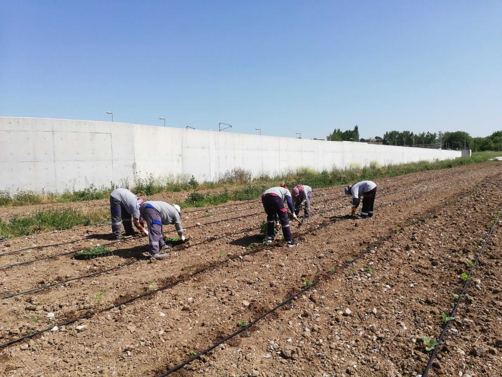 Topraklar Yeni Ürünlerle Bereketleniyor